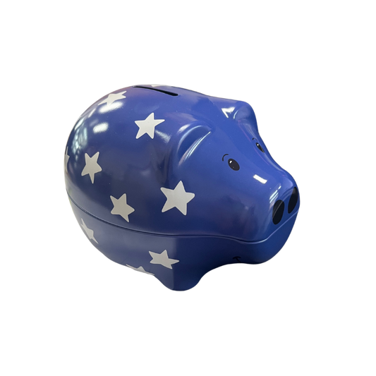 Piggy Bank Money Box