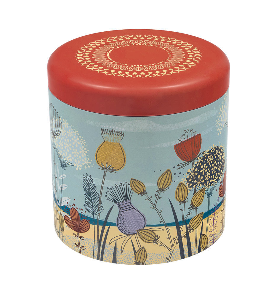 SLIGHTLY IMPERFECT - Biscuit Barrel Tins