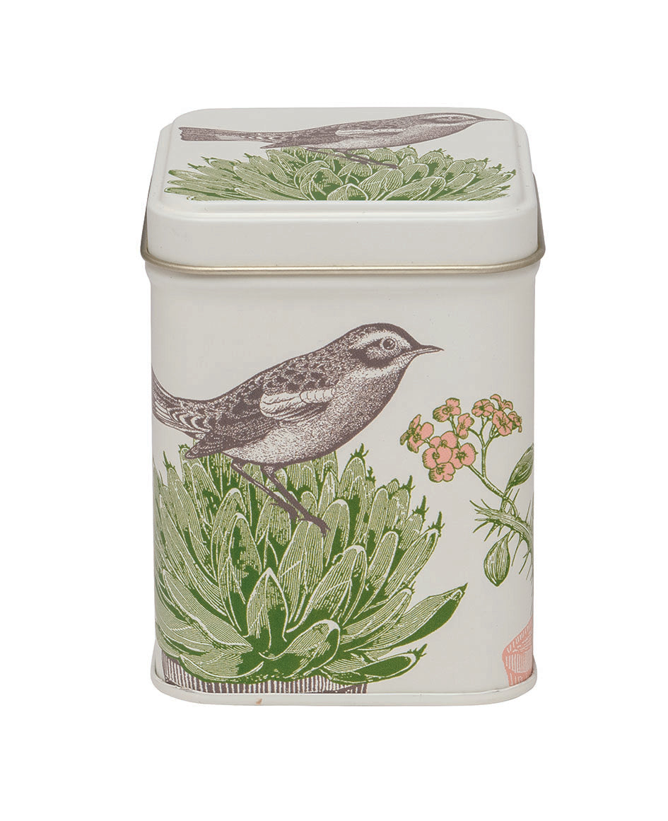 SLIGHTLY IMPERFECT - Small Tea Tin