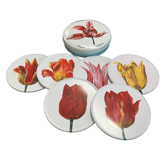 Tulipa Set Of 6 Corked Back Coasters In A Tin