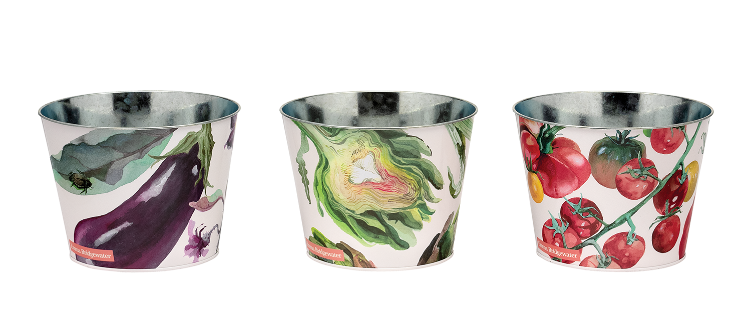 emma bridgewater plant pots Shop Emma Bridgewater Dig In The Garden Large Plant Pot Tins Set Of 3  Online