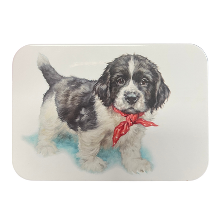 SLIGHTLY IMPERFECT - Jo Stockdale Slip Lid Pocket Tins