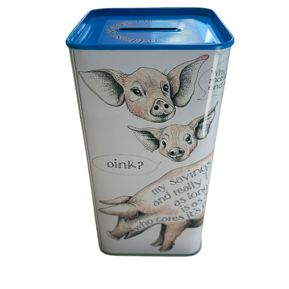 SLIGHTLY IMPERFECT - Money Box Tin
