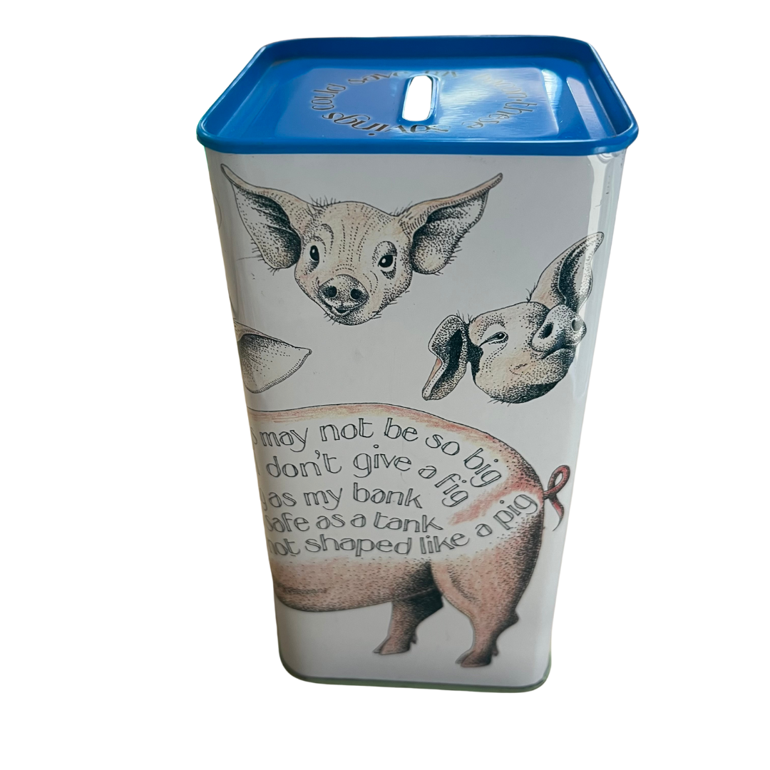 SLIGHTLY IMPERFECT - Money Box Tin