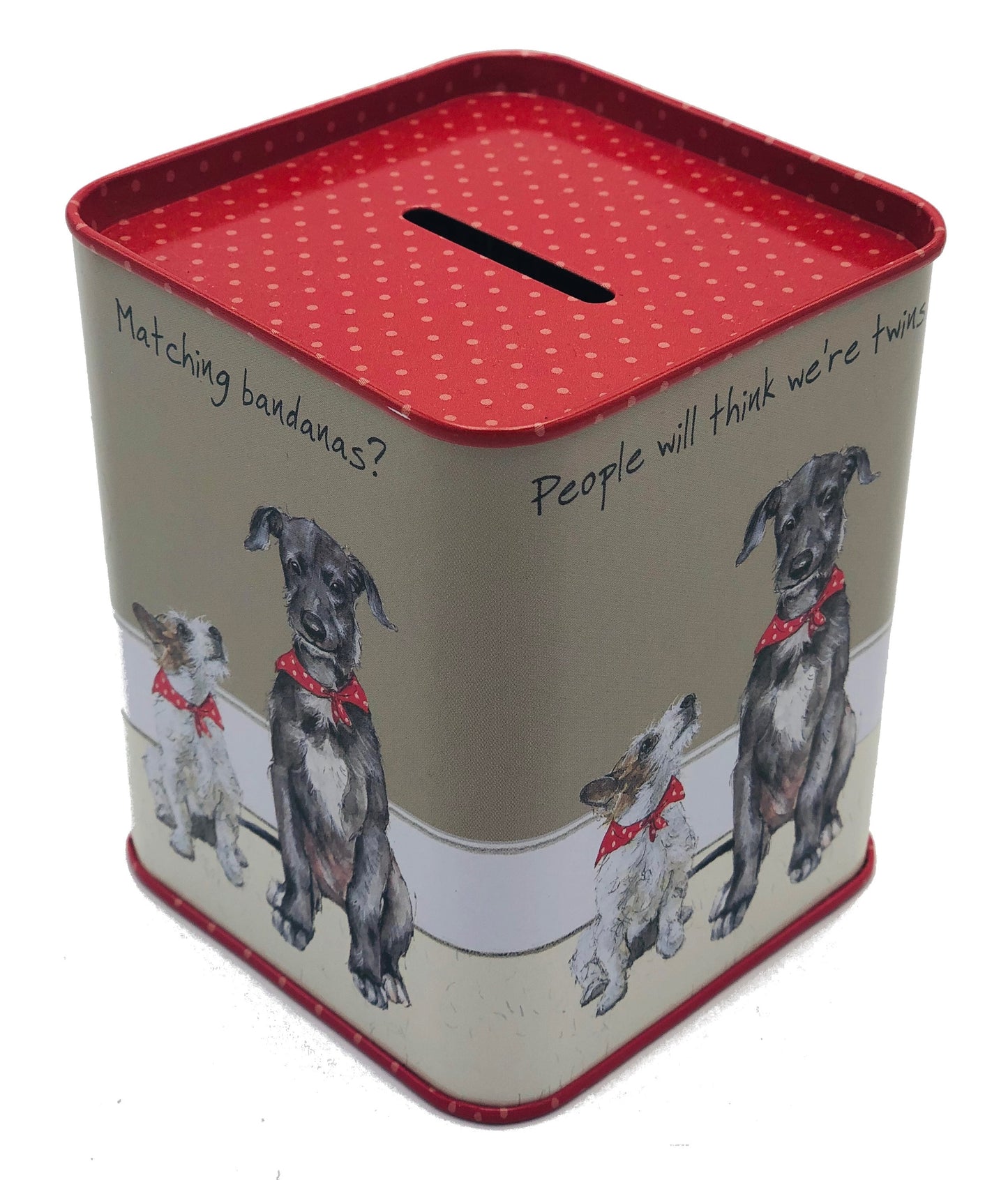 The Little Dog Money Saving Box